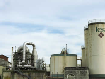 website template image