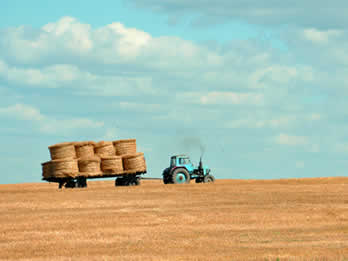 website template image